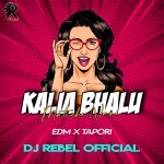 KALIA BHALU (EDM TAPORI MIX)DJ REBEL