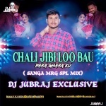 Chali Jibi Lo Sakhi (TAPORI  MIX) DJ JUBRAJ