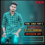 Punei Janha (Cg Topari)Dj Gopi.mp3
